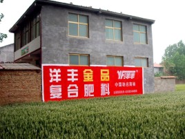 灵川如何让墙体广告展现最大化效果