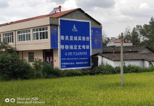 灵川决定墙体广告价格的因素有哪些?