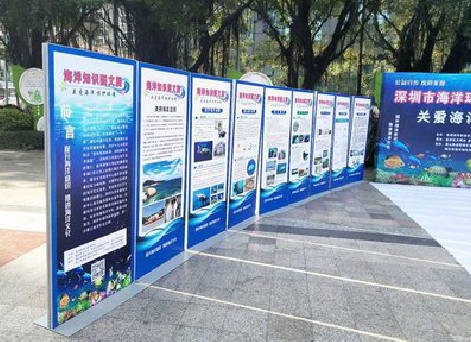 灵川KT板的种类和知识。